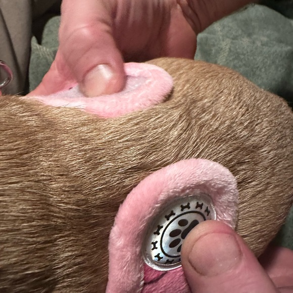 Small Dog Harness - Picture 6 of 6